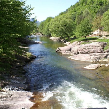 Семеен Хотел Федора Ribaritsa Exteriör bild