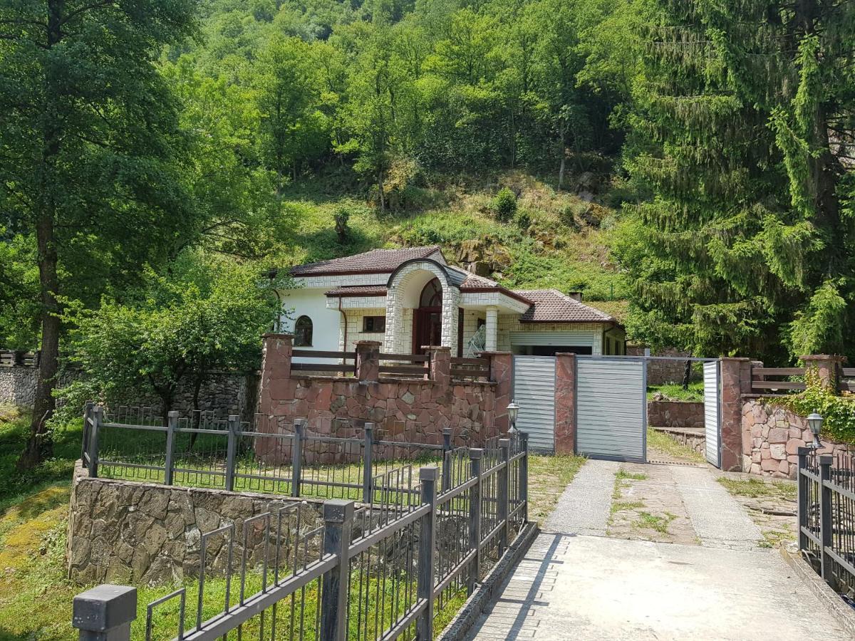 Семеен Хотел Федора Ribaritsa Exteriör bild